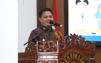 Wakil Bupati Luwu Terima Tim Validasi Lapangan Kabupaten/Kota Sehat Tingkat Nasional
