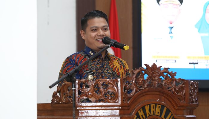 Wakil Bupati Luwu Terima Tim Validasi Lapangan Kabupaten/Kota Sehat Tingkat Nasional